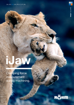 iJaw info brochure